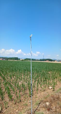 Sonda en parcela